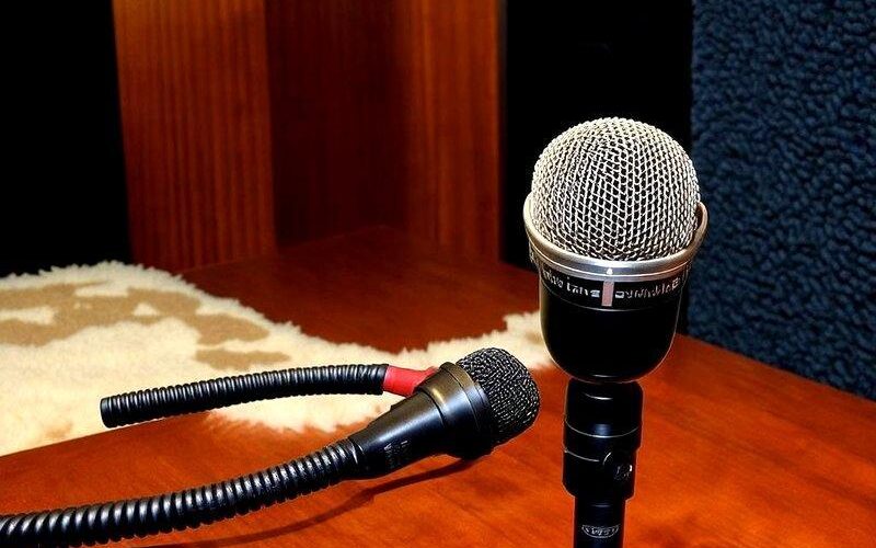 mikrofon-do-wokalu